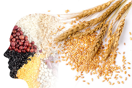 谷物养生大米轮廓高清图片