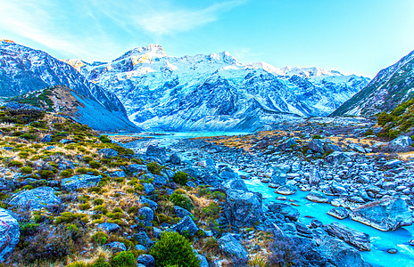 峭壁上的花新西兰库克山背景