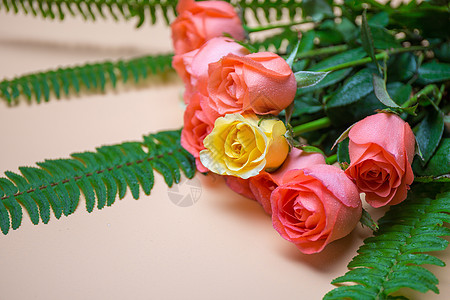 七夕鲜花预定520温馨浪漫玫瑰花背景