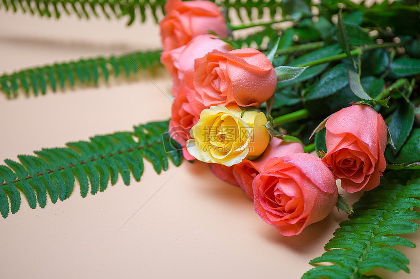 ‘~520温馨浪漫玫瑰花  ~’ 的图片
