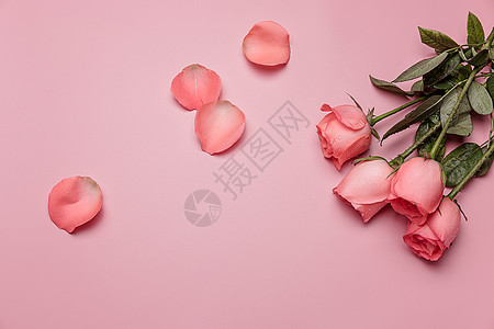 玫瑰花瓣背景漂亮的情人节七夕玫瑰背景