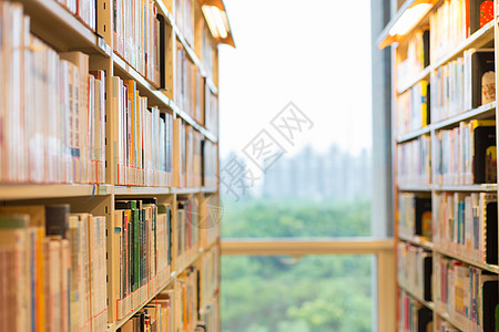 学生阅读图书馆书架上排列整齐的书背景