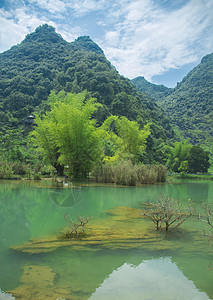 九寨风景夏日广西靖西鹅泉恬静风光背景