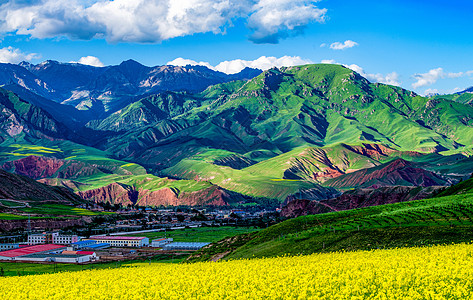 山峦油菜花图片