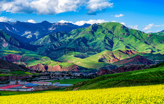 山峦油菜花图片