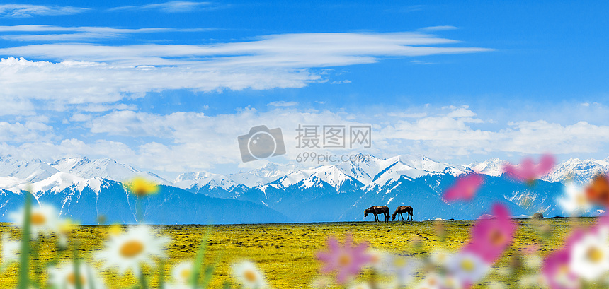 雪山马匹图片