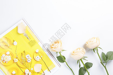 黄色香槟玫瑰玫瑰花白色背景素材背景