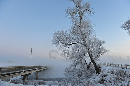 新华桥雾凇图片