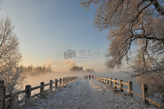 雪中的桥图片