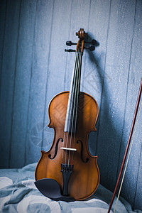 失落的小提琴图片