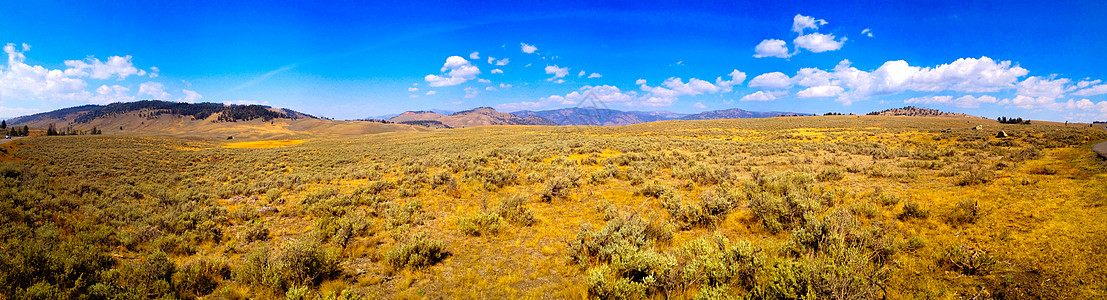 青山草地美国国家公园的路边景色背景