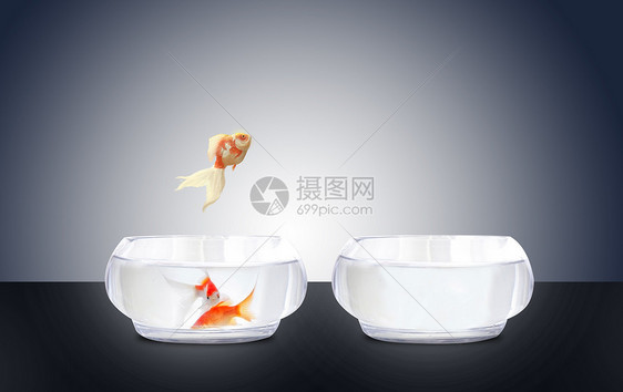 从鱼缸跳跃出来金鱼素材背景图片