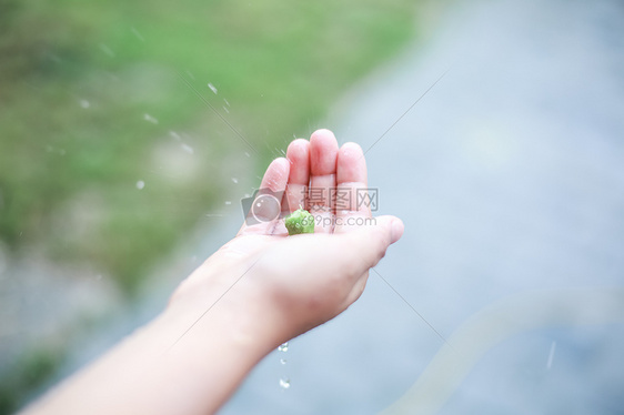 雨天伸手拿果实的小女孩图片