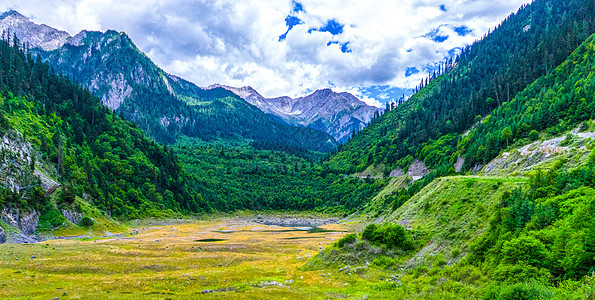 秋森林昔日九寨沟背景