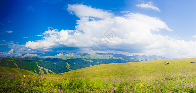 蓝天白云绿草地新疆喀拉峻草原美景背景