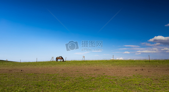 新疆喀拉峻草原美景图片