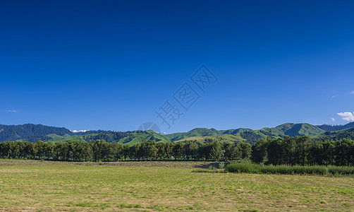 百望山森林公园新疆那拉提草原美景背景