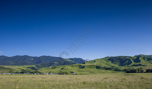 百望山森林公园新疆那拉提草原美景背景