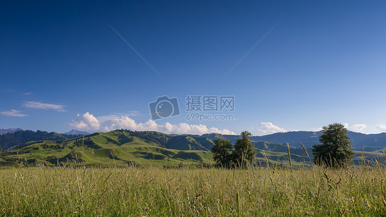 新疆那拉提草原美景图片