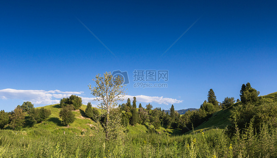 新疆那拉提草原美景图片