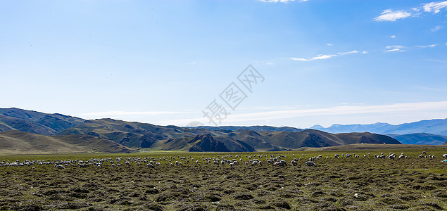 新疆独库公路两旁美景图片