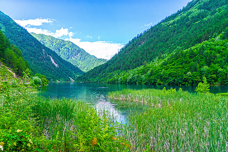 九寨沟春天昔日九寨沟背景