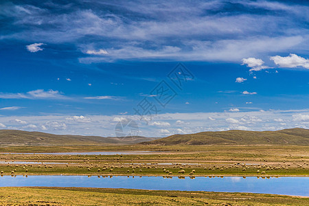 辽阔的大草原青海玉共高速自然风光美景背景