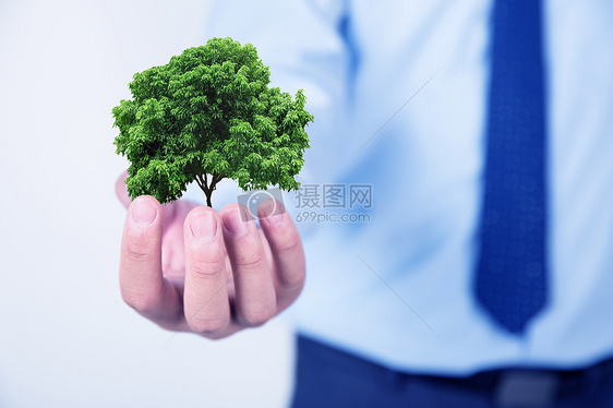 手里的树图片