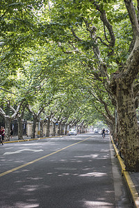 上海小资街道背景图片