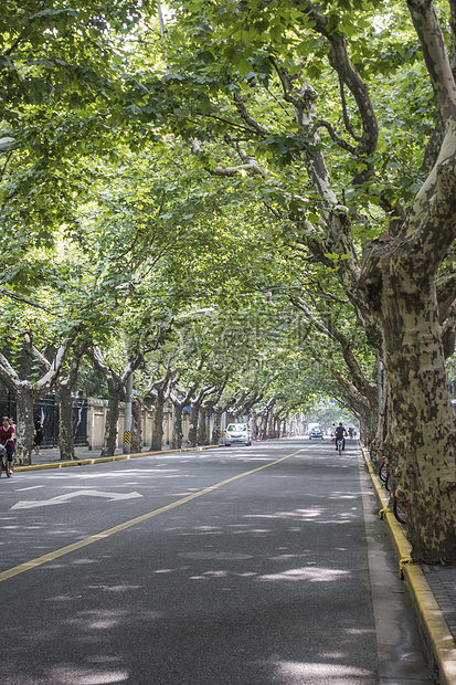 上海小资街道图片