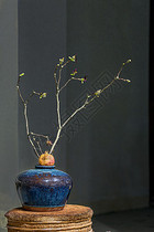 花瓶、石榴与树枝图片