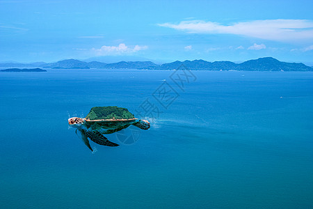 超现实乌龟海龟高清素材高清图片