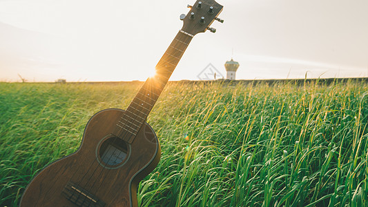 夕阳下的草原和吉他图片