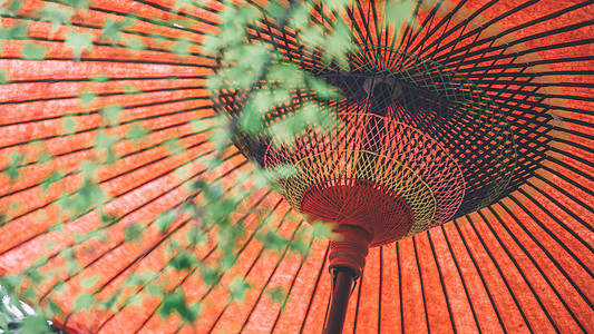 日本特色文化和伞图片