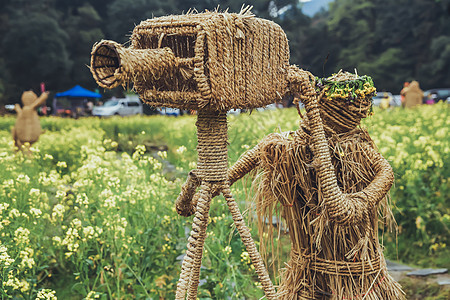 婺源油菜花中间的稻草人高清图片