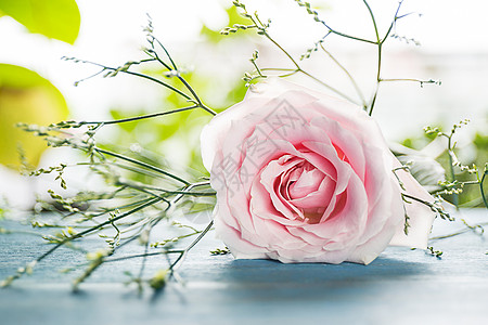 手绘花卉背景浪漫玫瑰花背景