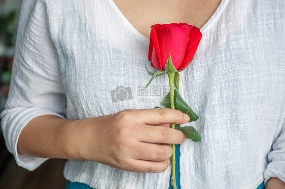浪漫七夕手握玫瑰的少女图片