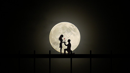 月光下求爱情侣送鲜花高清图片