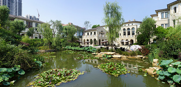 小区外景别墅外景背景