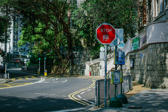 香港大学内一条幽静的交通公路图片