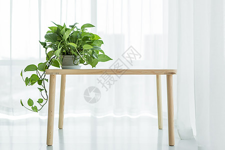 餐桌小景实木复合门高清图片