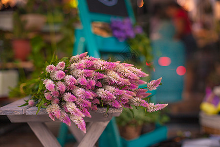 情人节花卉图片