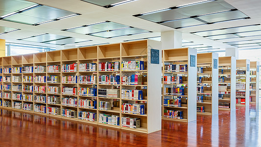 书架拿书宽敞明亮的图书馆阅览室背景
