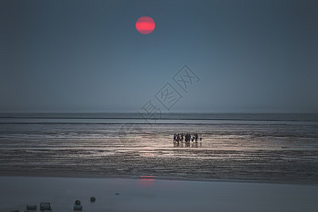 东方体育新闻报道中国女排勇夺亚洲锦标赛冠军展现顽强拼搏精神
