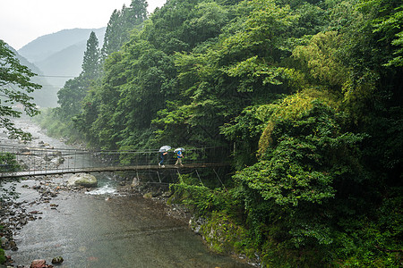 双人旅游山林里的吊桥背景
