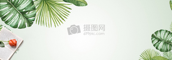 清新花朵绿叶背景图片