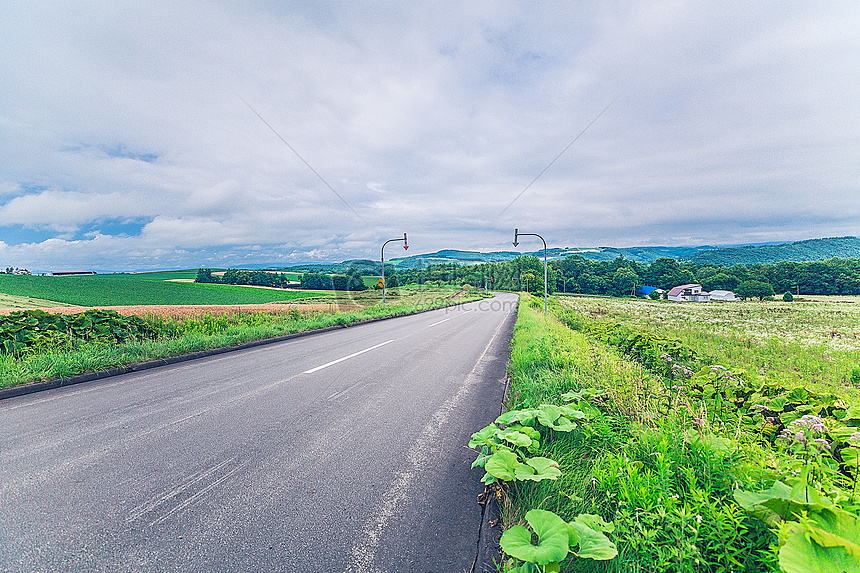 日本北海道美瑛拼布之路图片