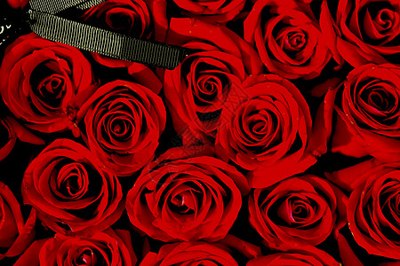 一束玫瑰爱情红玫瑰背景
