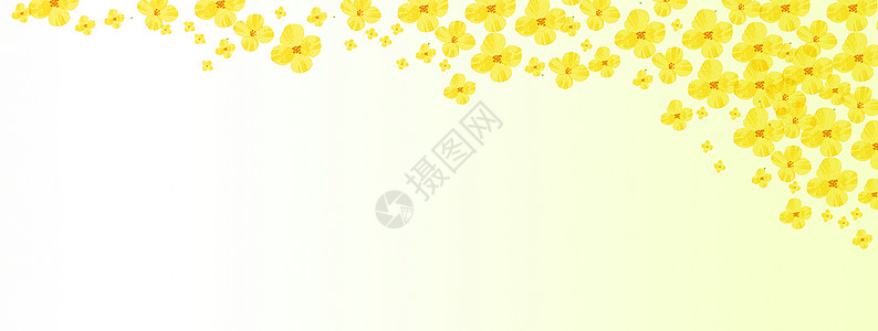 清晰海报花卉背景背景