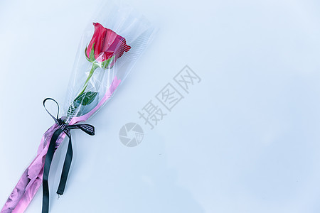 情人节玫瑰花留白素材图片